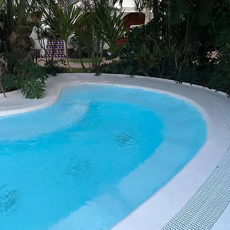 Golden Mille By Deihu Experience * Arona (Tenerife)