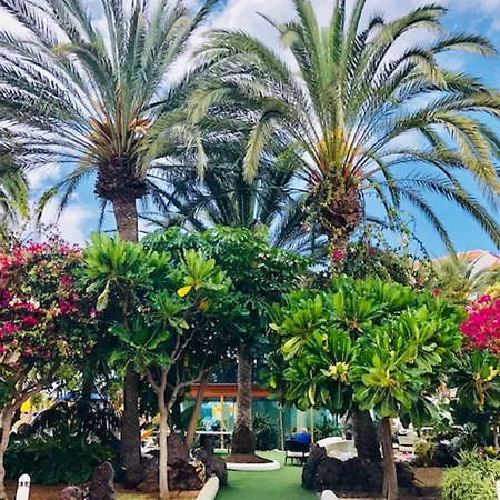 Golden Mille By Deihu Experience *